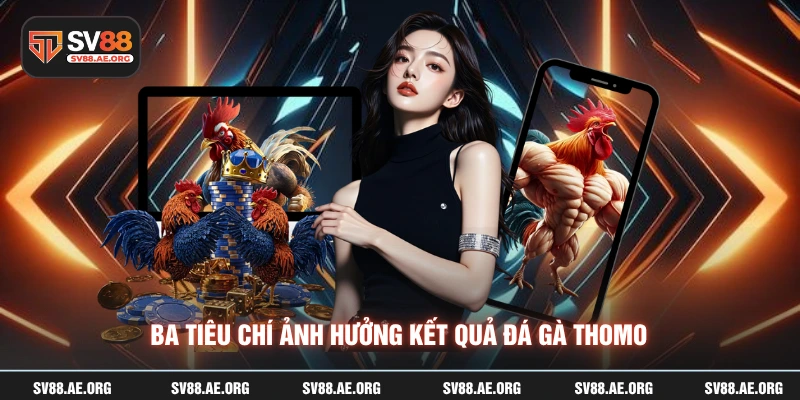 Ba tiêu chí ảnh hưởng kết quả đá gà thomo