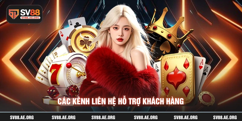 Các kênh liên hệ hỗ trợ khách hàng