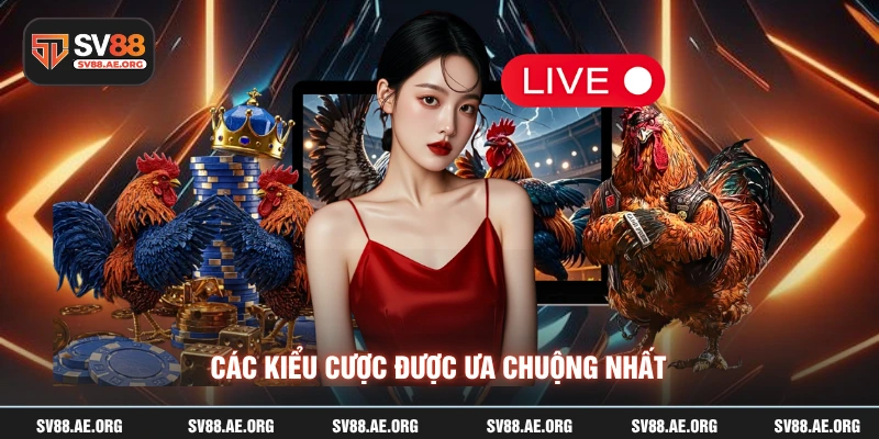 Các kiểu cược được ưa chuộng nhất