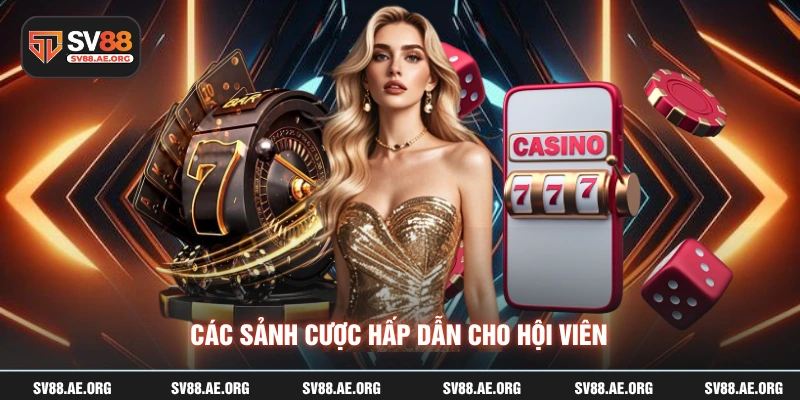 Các sảnh cược hấp dẫn cho hội viên