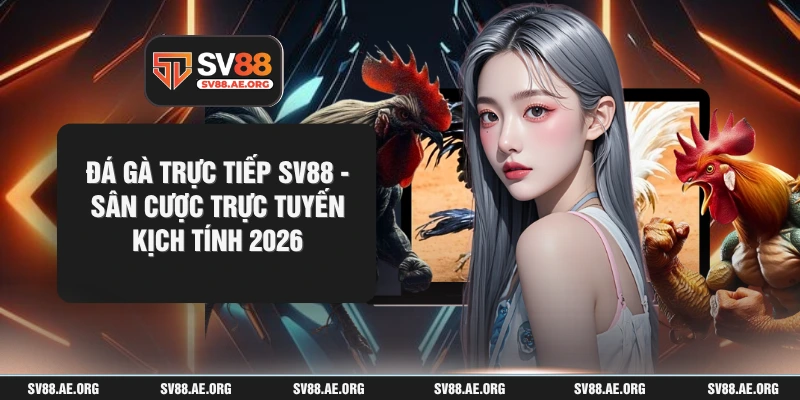 Đá Gà Trực Tiếp sv88 - Sân Cược Trực Tuyến Kịch Tính 2026