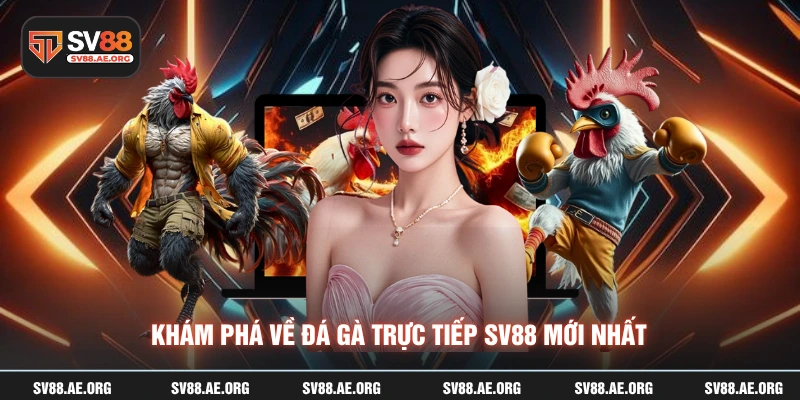 Khám phá về đá gà trực tiếp sv88 mới nhất