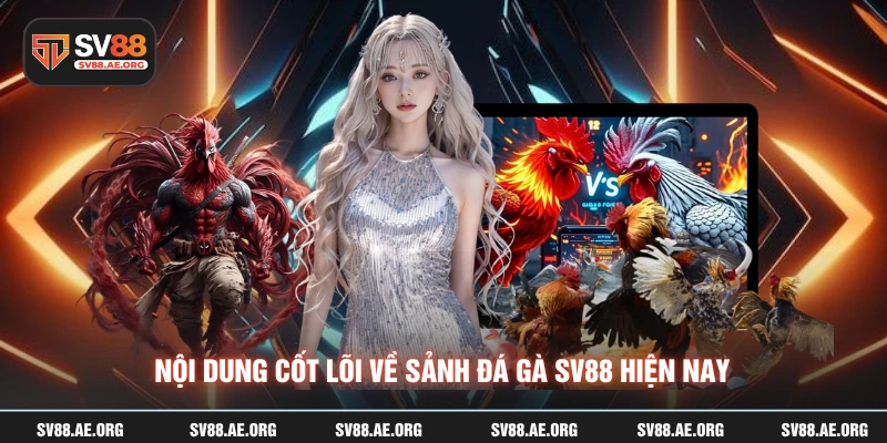 Nội dung cốt lõi về sảnh đá gà SV88 hiện nay